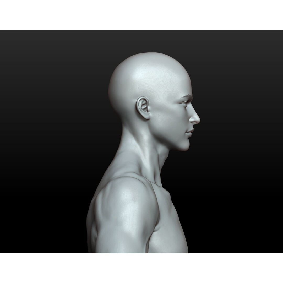 Fantasy Human Basemesh 3D Model – High Poly Rigged Low Poly Character - View 29