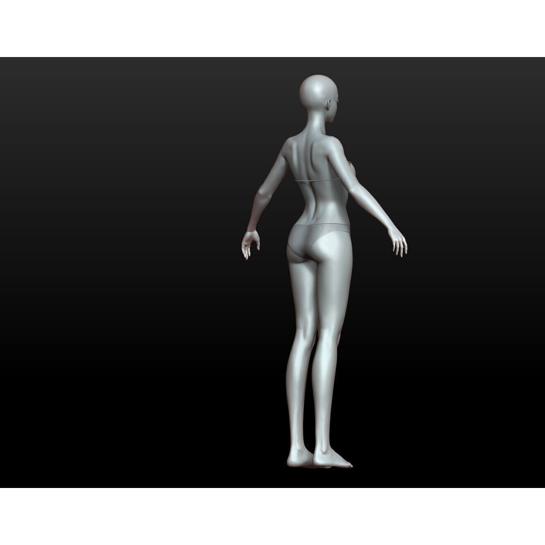 Fantasy Human Basemesh 3D Model – High Poly Rigged Low Poly Character - View 47