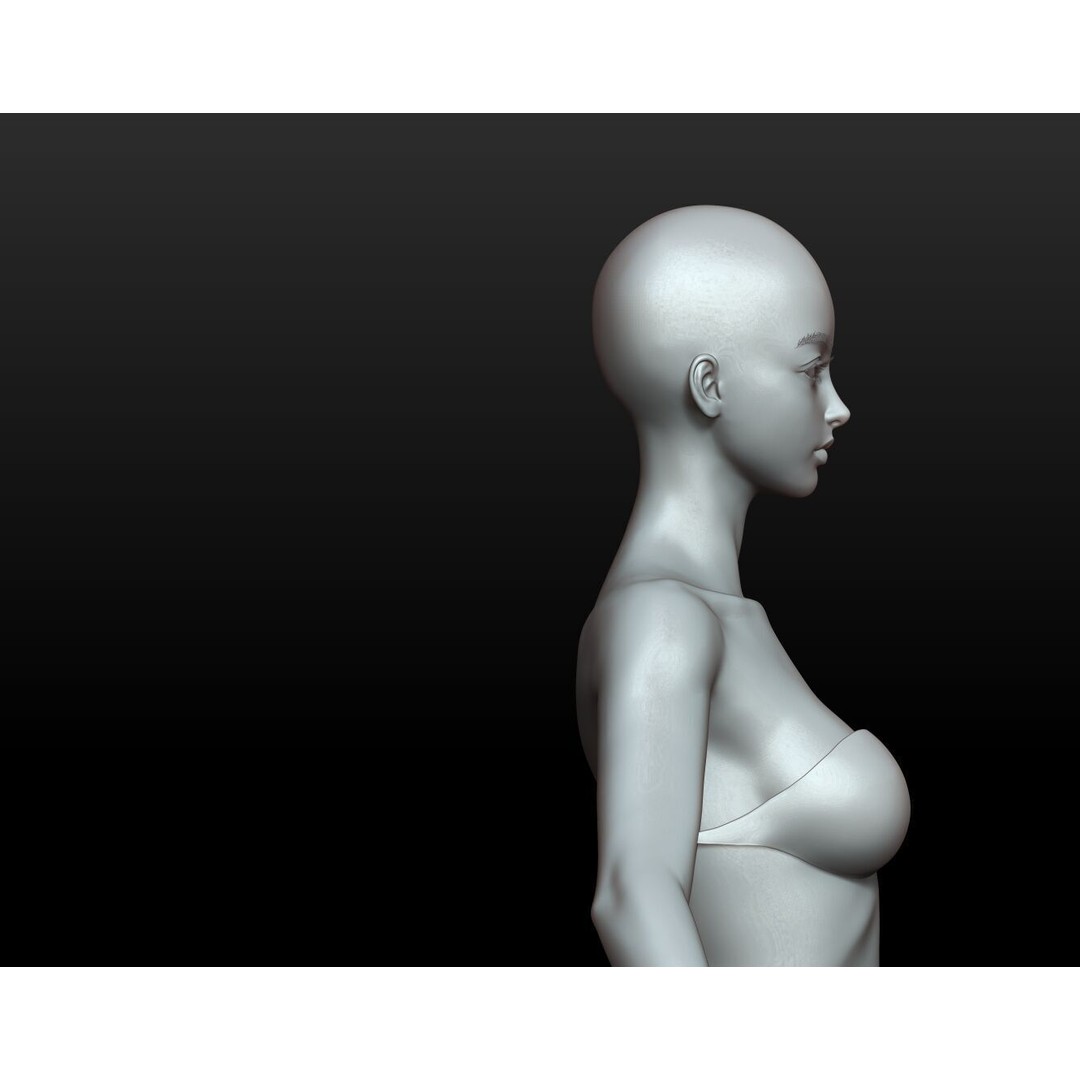 Fantasy Human Basemesh 3D Model – High Poly Rigged Low Poly Character - View 49
