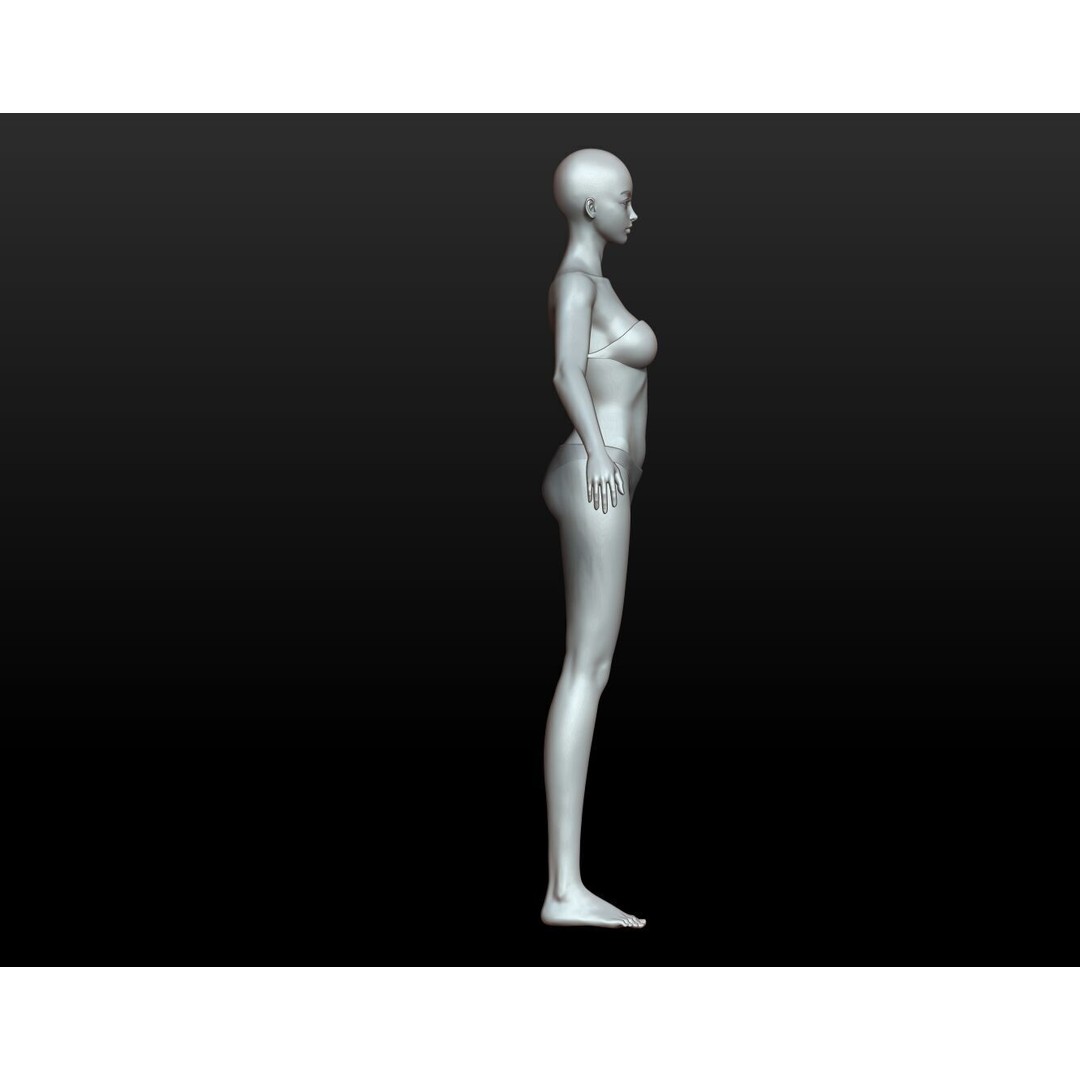 Fantasy Human Basemesh 3D Model – High Poly Rigged Low Poly Character - View 51