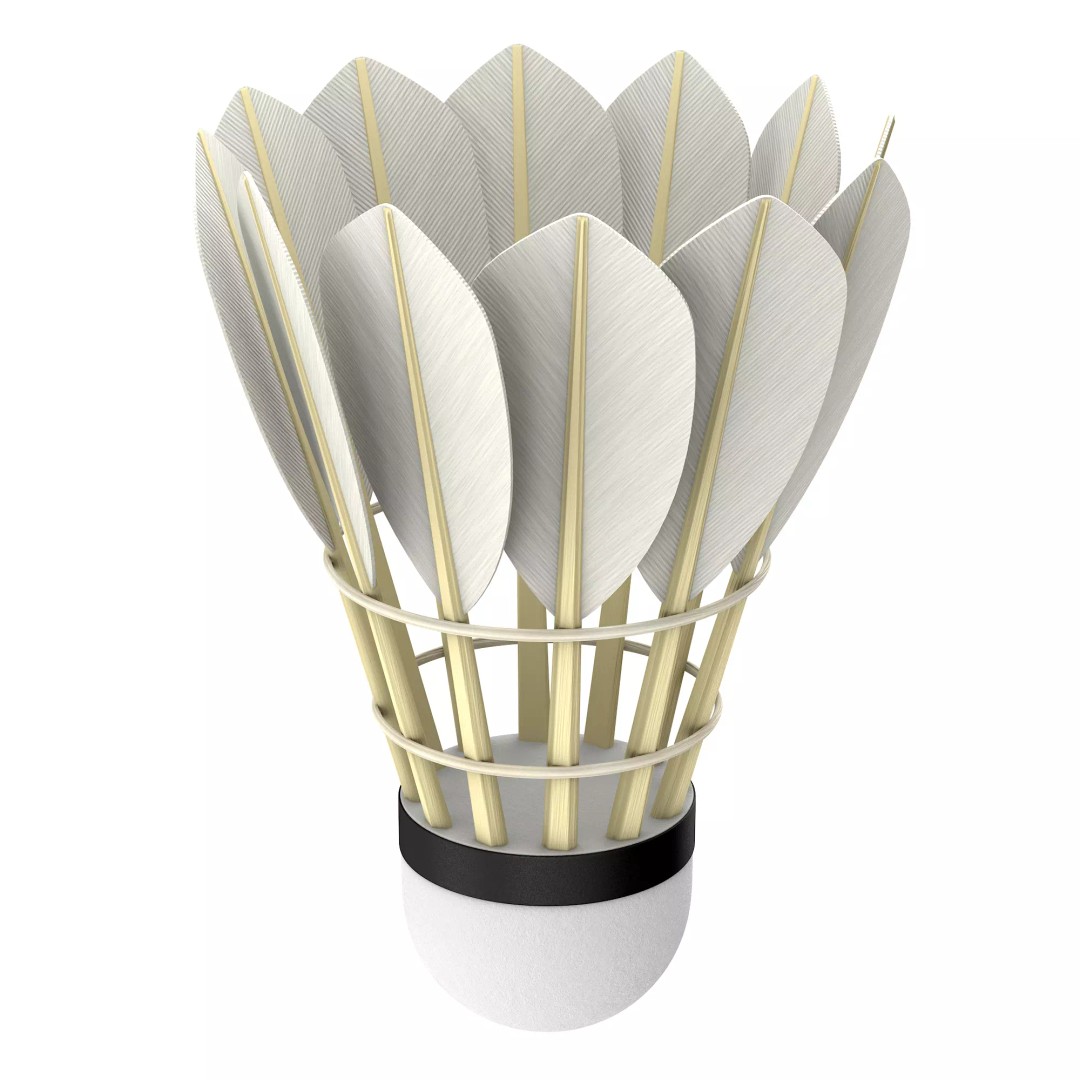 Shuttlecock 3D Model – High Poly Photorealistic Asset, FBX - View 39