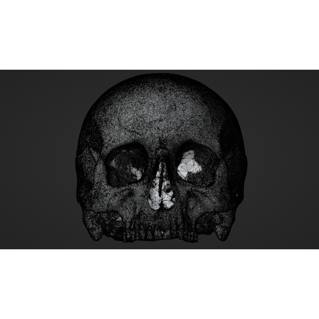 Ancient Human Skull 3D Model – Low Poly Scanned Asset, OBJ/FBX - View 19