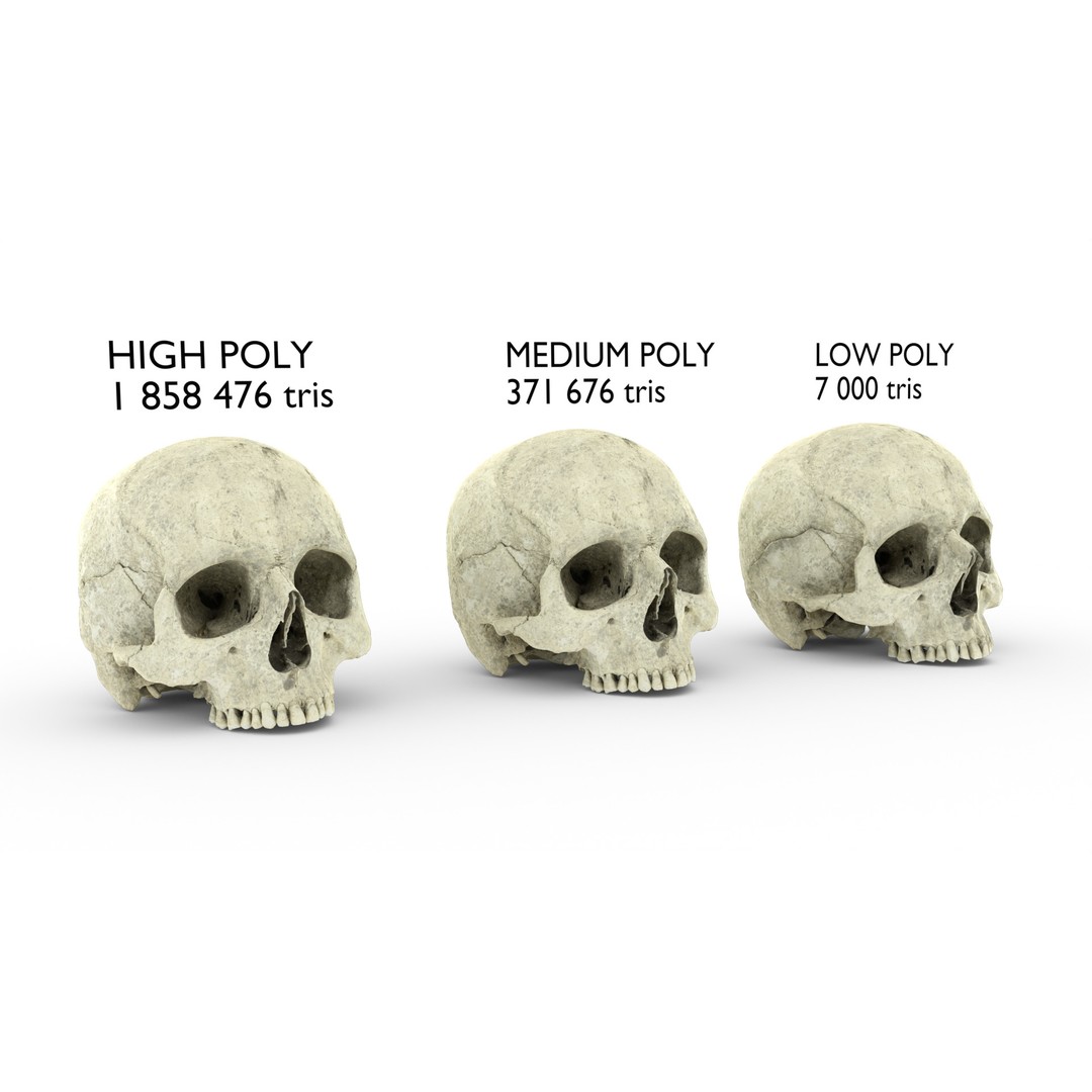 Ancient Human Skull 3D Model – Low Poly Scanned Asset, OBJ/FBX - View 3