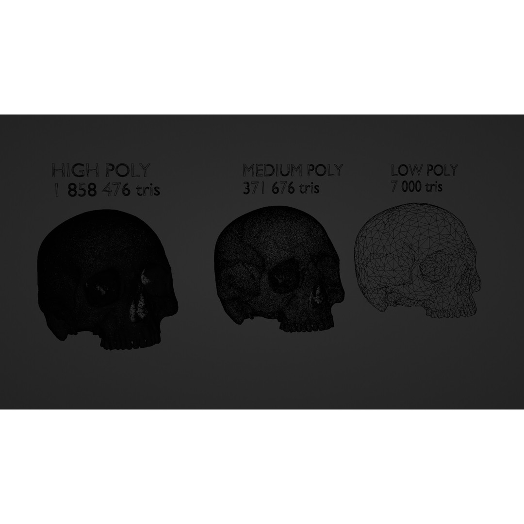 Ancient Human Skull 3D Model – Low Poly Scanned Asset, OBJ/FBX - View 4