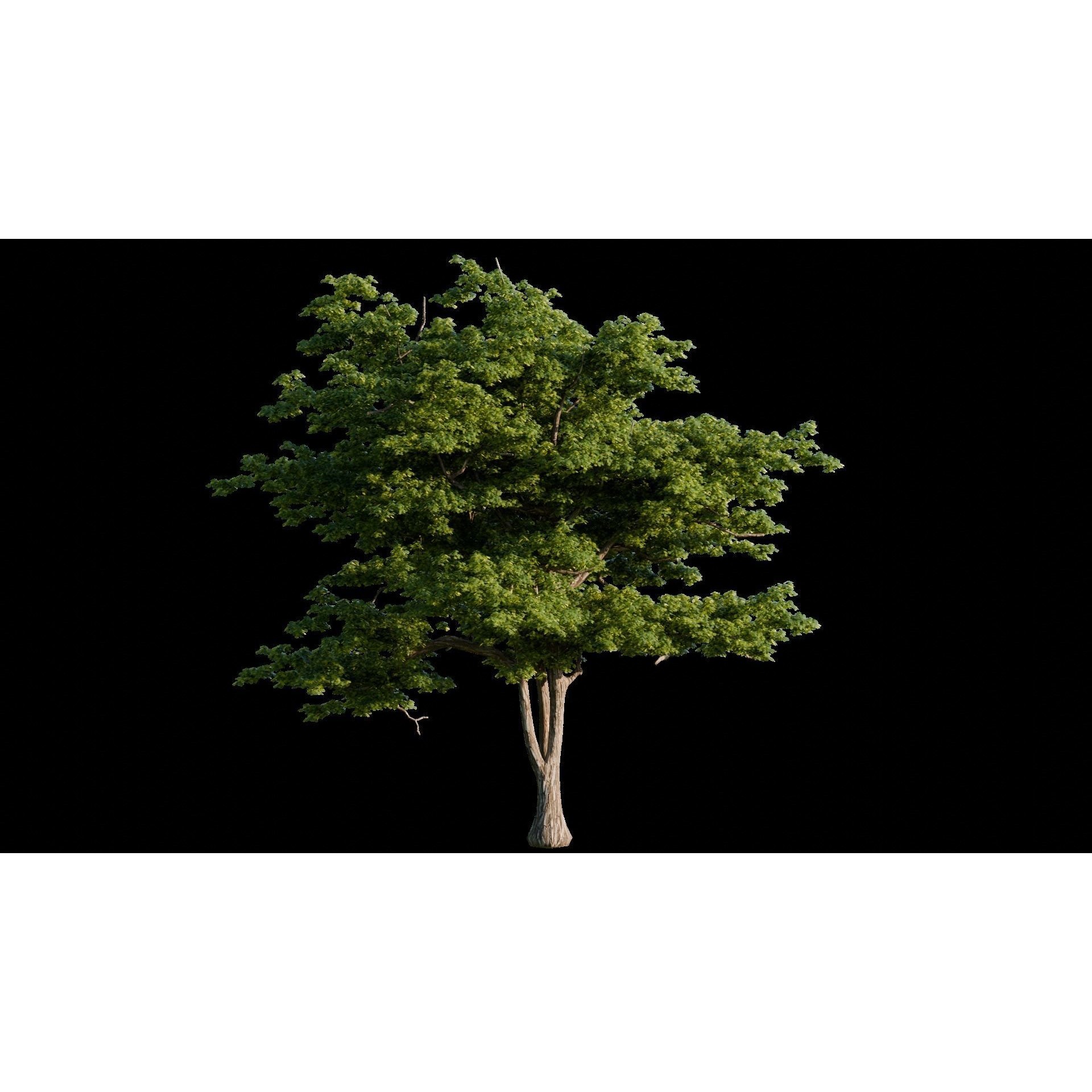 Medieval Landscape - Game-Ready 3D Model - View 10