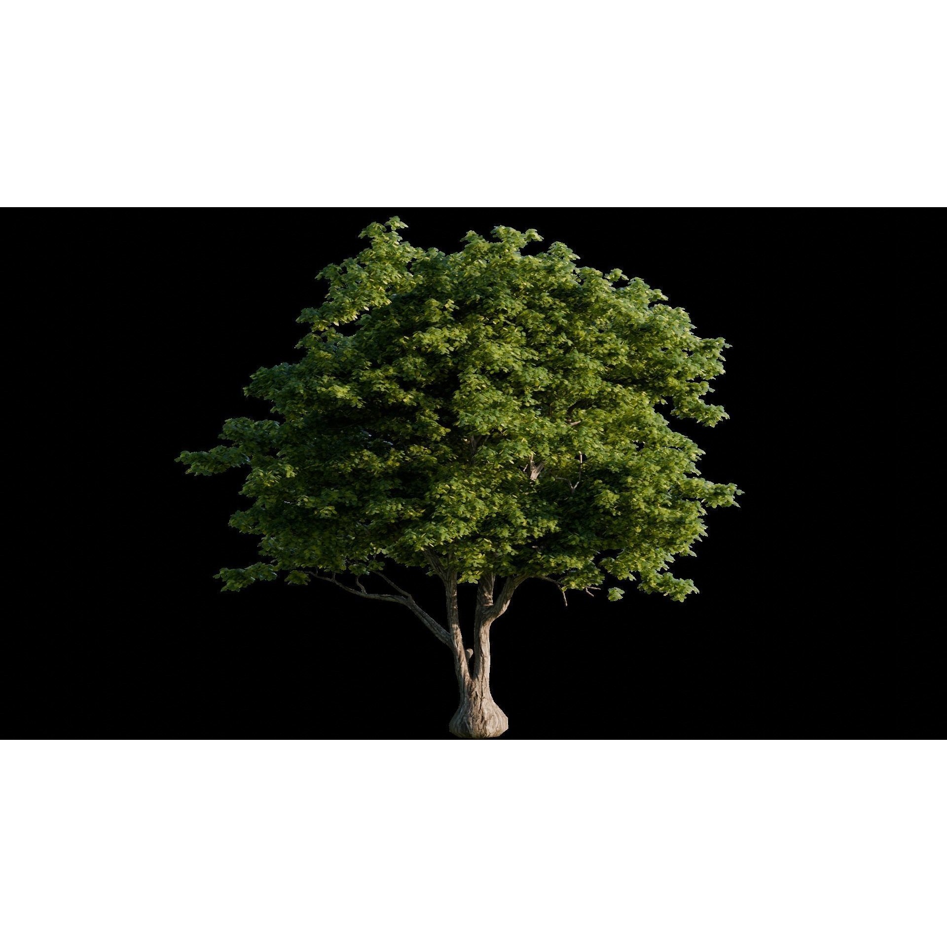 Medieval Landscape - Game-Ready 3D Model - View 12