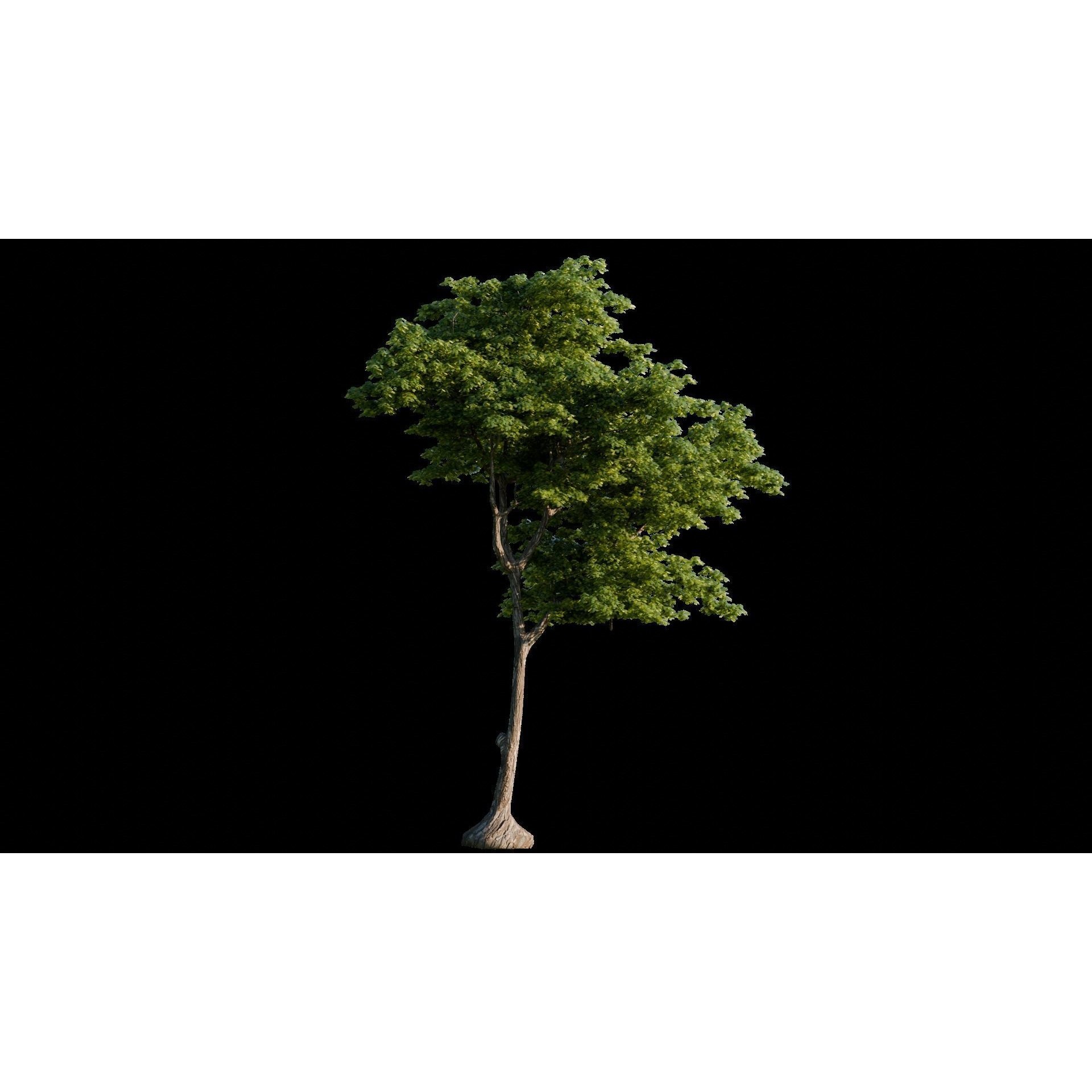 Medieval Landscape - Game-Ready 3D Model - View 14