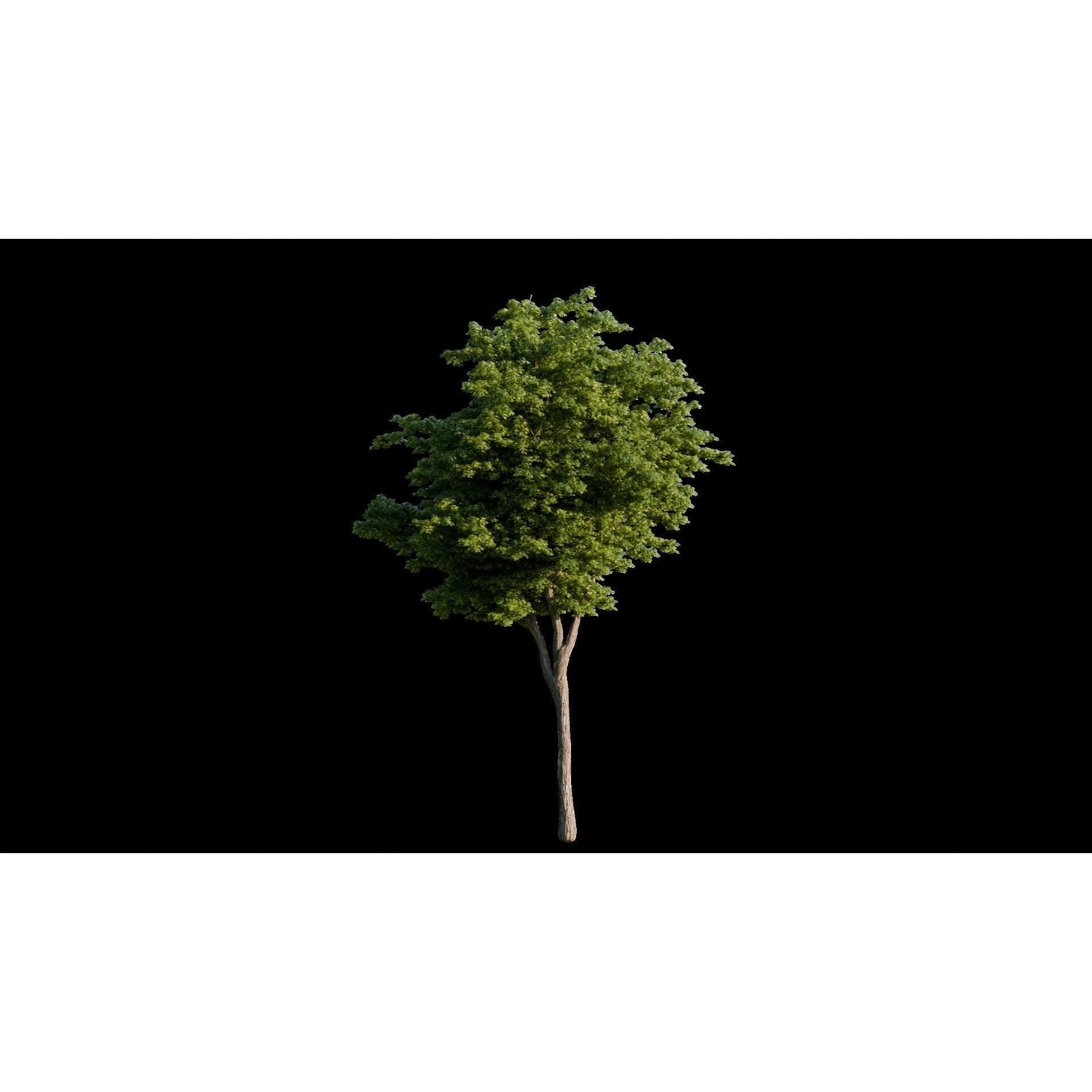 Medieval Landscape - Game-Ready 3D Model - View 18