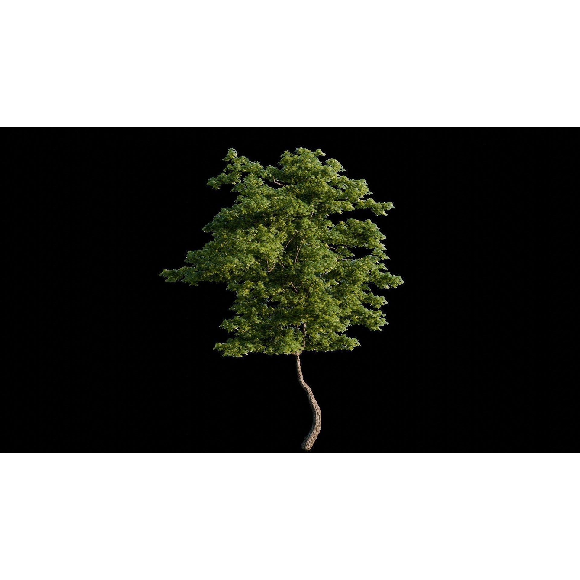 Medieval Landscape - Game-Ready 3D Model - View 20