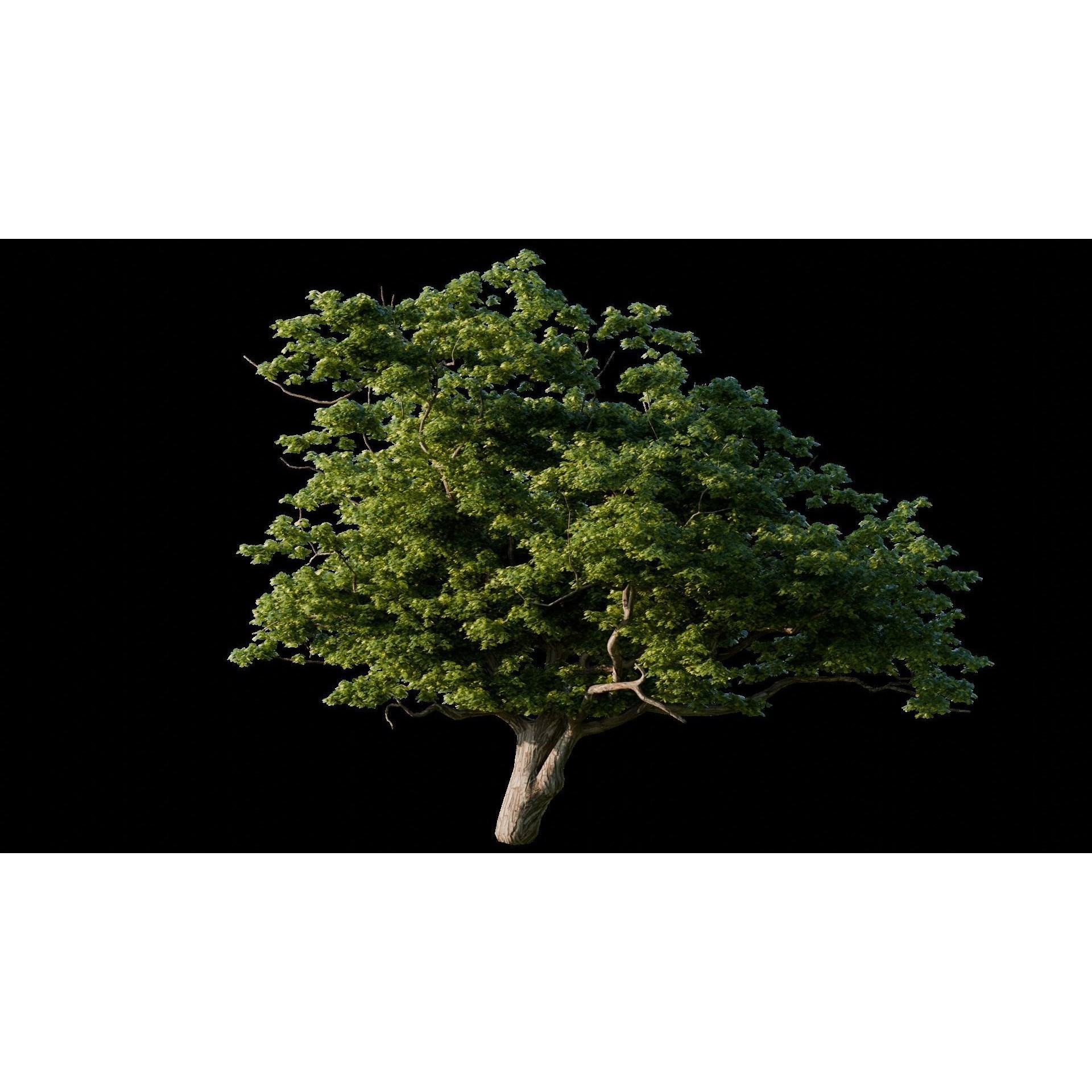 Medieval Landscape - Game-Ready 3D Model - View 8