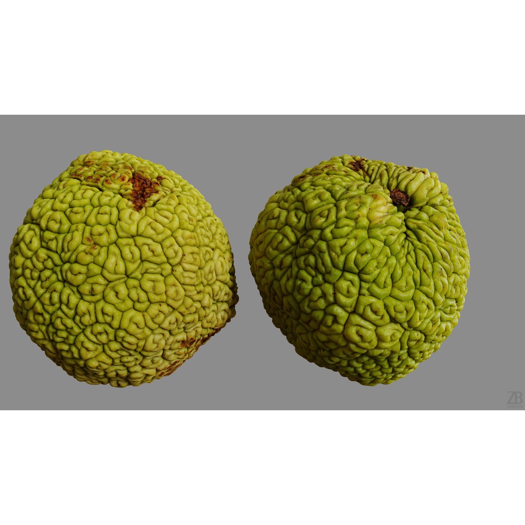 Osage Orange 3D Model – High Poly PBR Asset, FBX and OBJ Formats