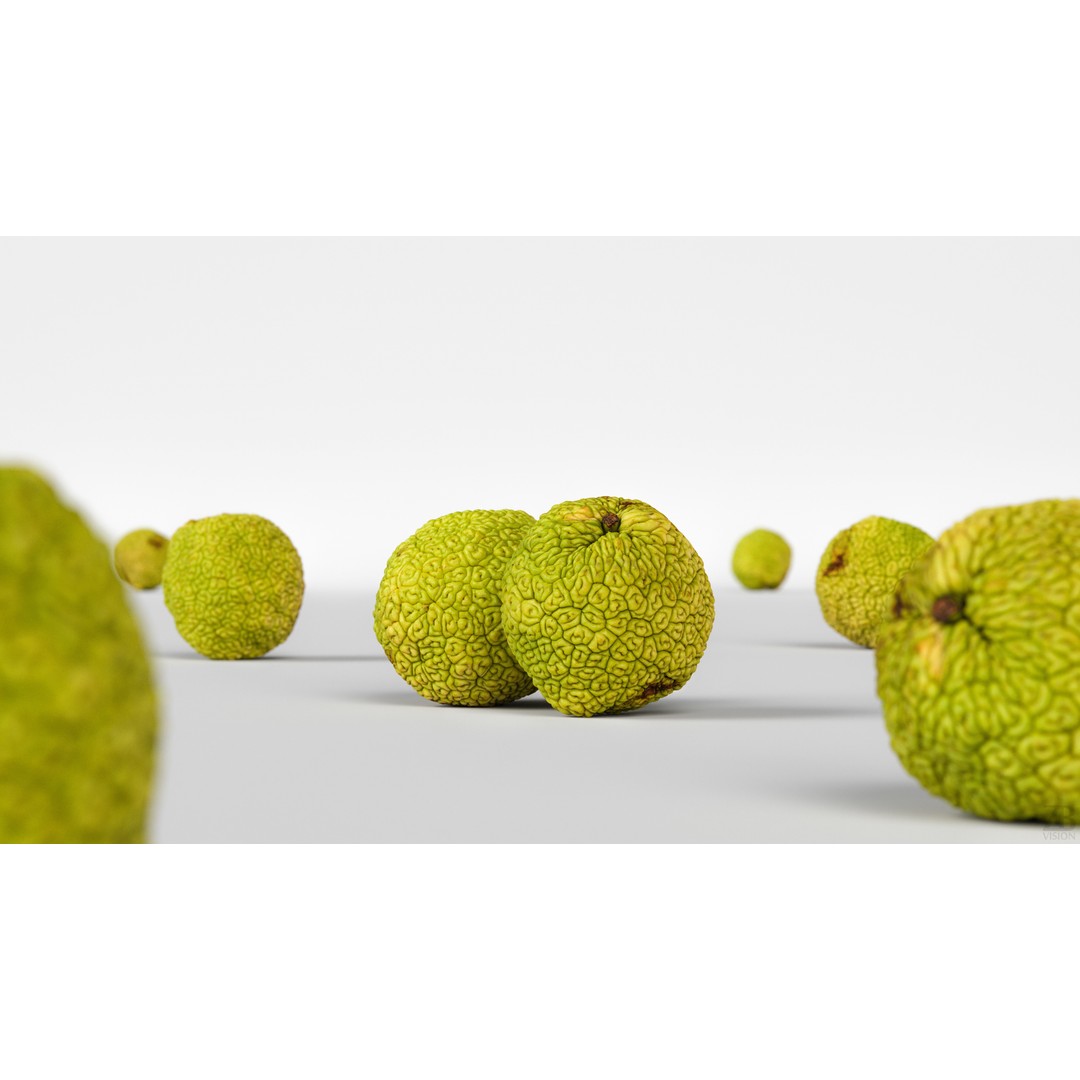 Osage Orange 3D Model – High Poly PBR Asset, FBX and OBJ Formats - View 3
