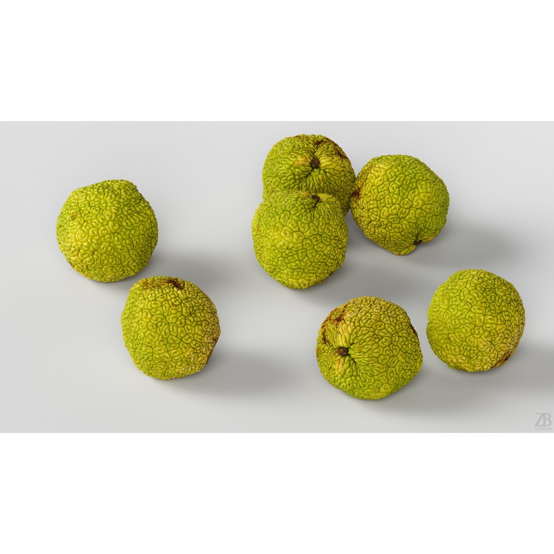 Osage Orange 3D Model – High Poly PBR Asset, FBX and OBJ Formats - View 4