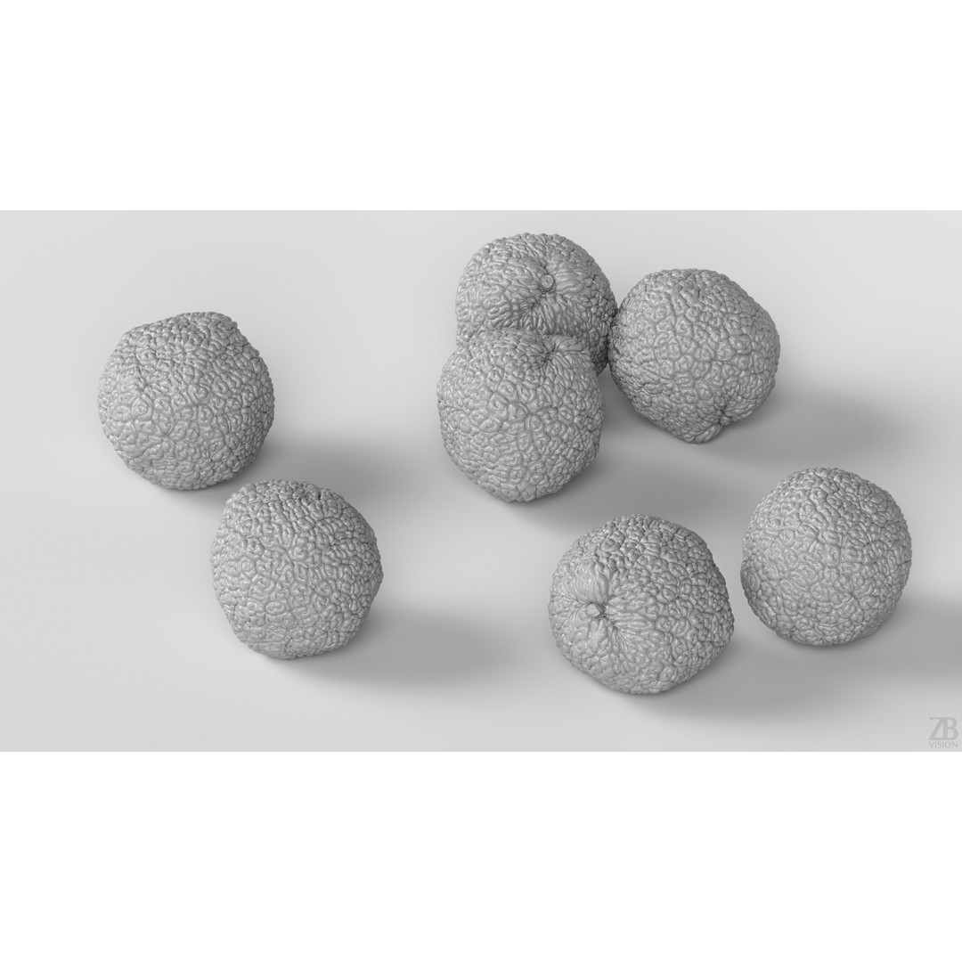 Osage Orange 3D Model – High Poly PBR Asset, FBX and OBJ Formats - View 5