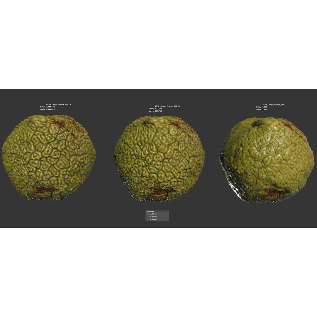 Osage Orange 3D Model – High Poly PBR Asset, FBX and OBJ Formats - View 7