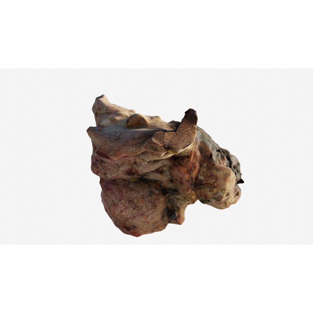 Shashlik BBQ Meat 3D Model – Low Poly Photogrammetry Asset, FBX - View 23