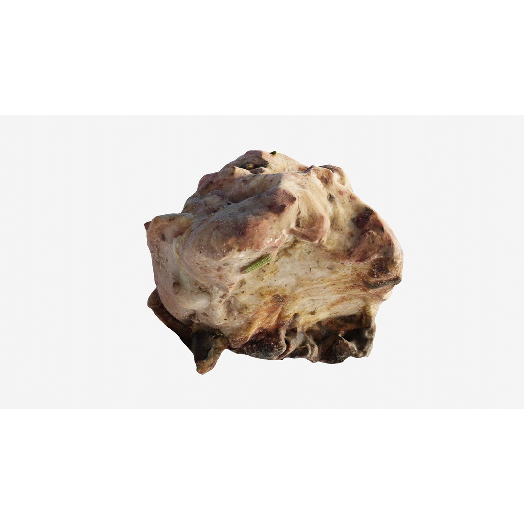 Shashlik BBQ Meat 3D Model – Low Poly Photogrammetry Asset, FBX - View 26
