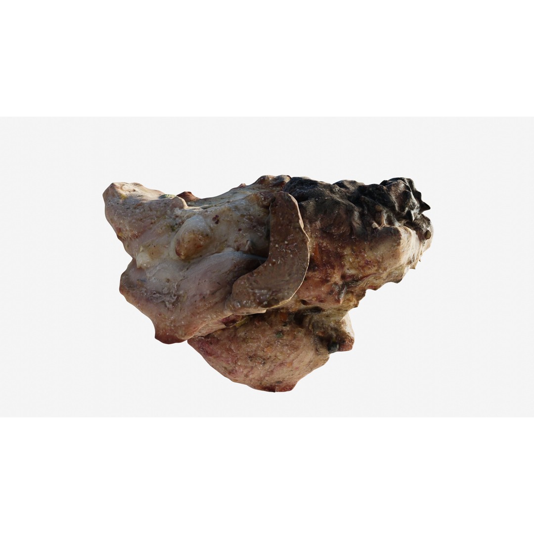 Shashlik BBQ Meat 3D Model – Low Poly Photogrammetry Asset, FBX - View 27