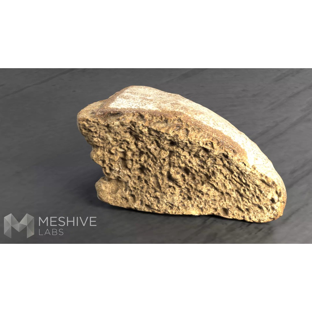 Artisan Rye Bread 3D Model – PBR Low-Poly Game Asset, FBX/Blender - View 15