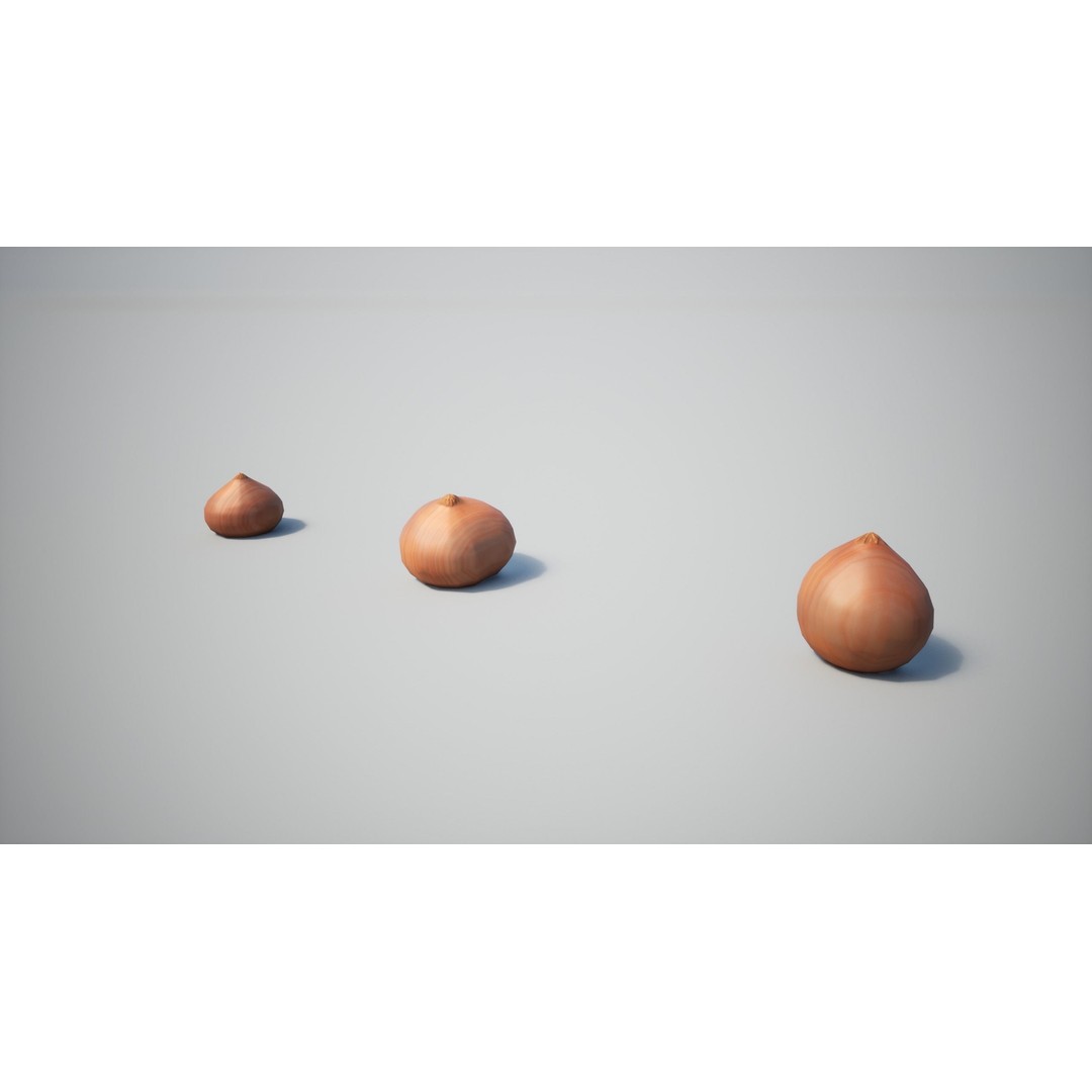 Onion 3D Model – Low Poly Game-Ready Asset with PBR Textures - View 8