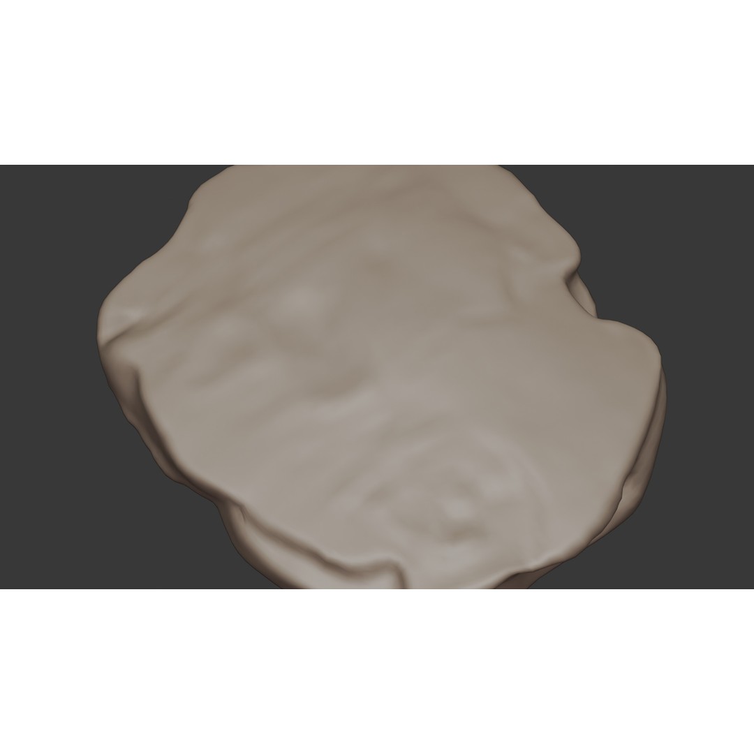 Beef Shoulder 3D Model – Low Poly Game Asset, FBX, PBR Textures - View 30