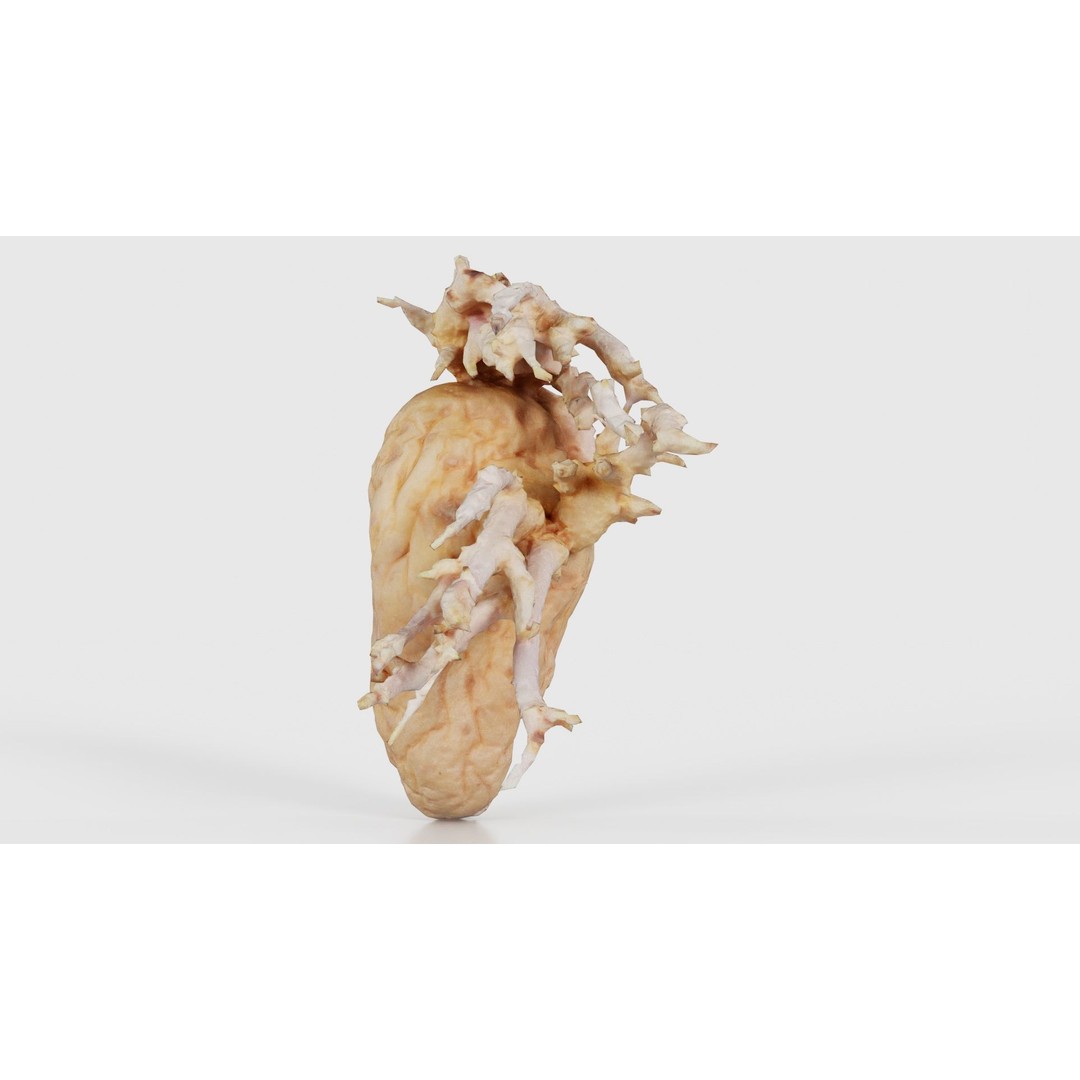 Shriveled Potato 3D Model – Low Poly Game Asset, FBX, PBR Textures