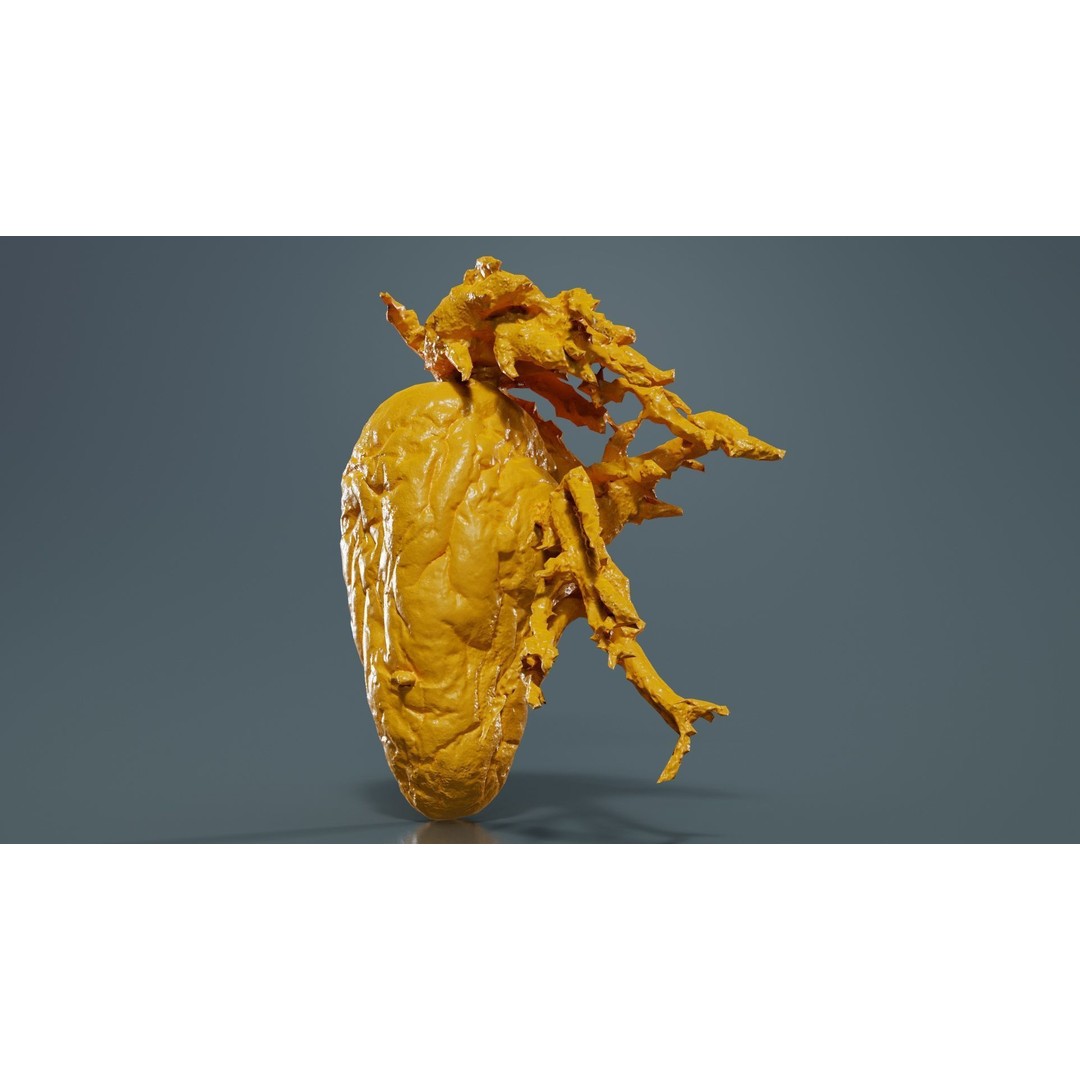 Shriveled Potato 3D Model – Low Poly Game Asset, FBX, PBR Textures - View 14