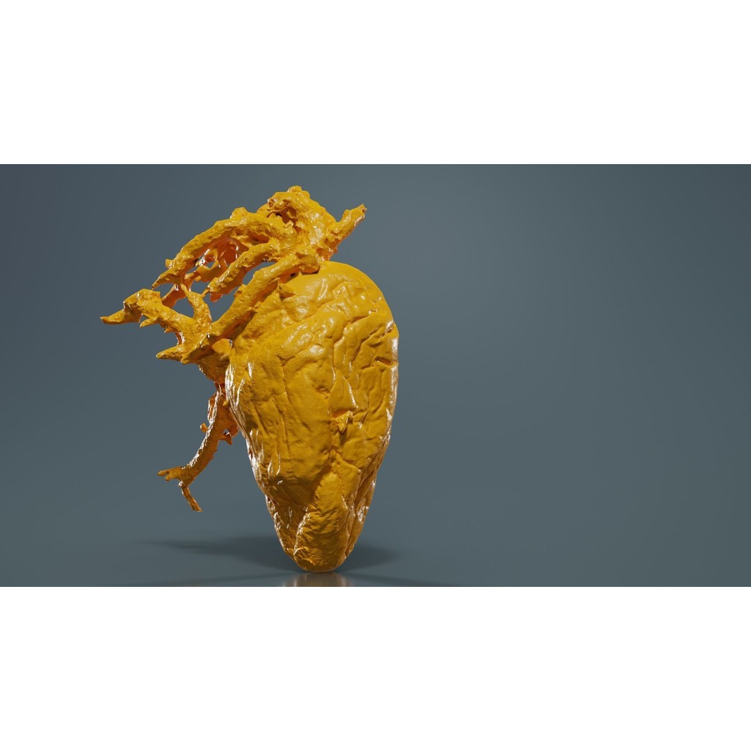 Shriveled Potato 3D Model – Low Poly Game Asset, FBX, PBR Textures - View 15