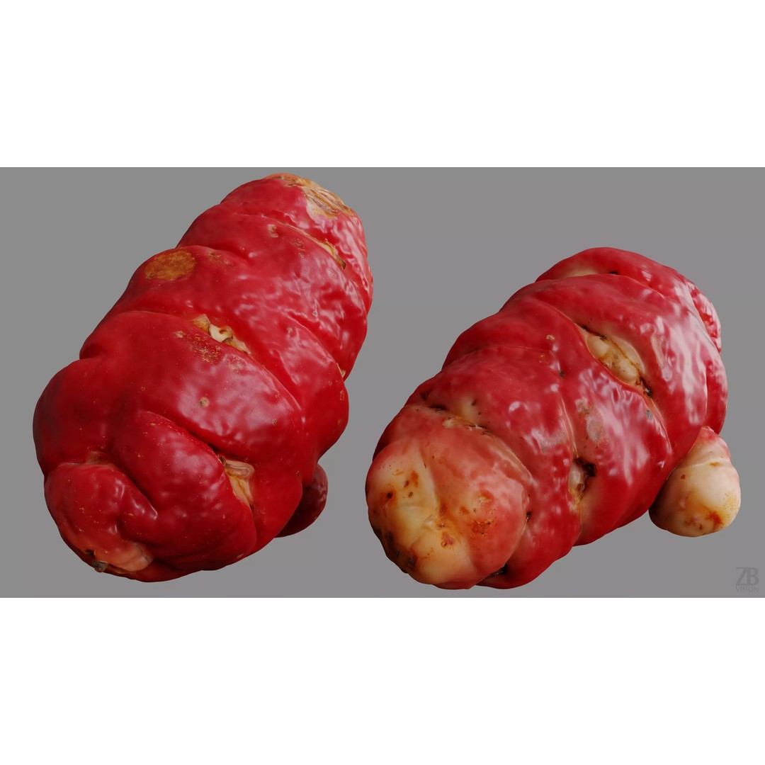 Oca Root 3D Model – Photorealistic PBR Asset for Visualizations