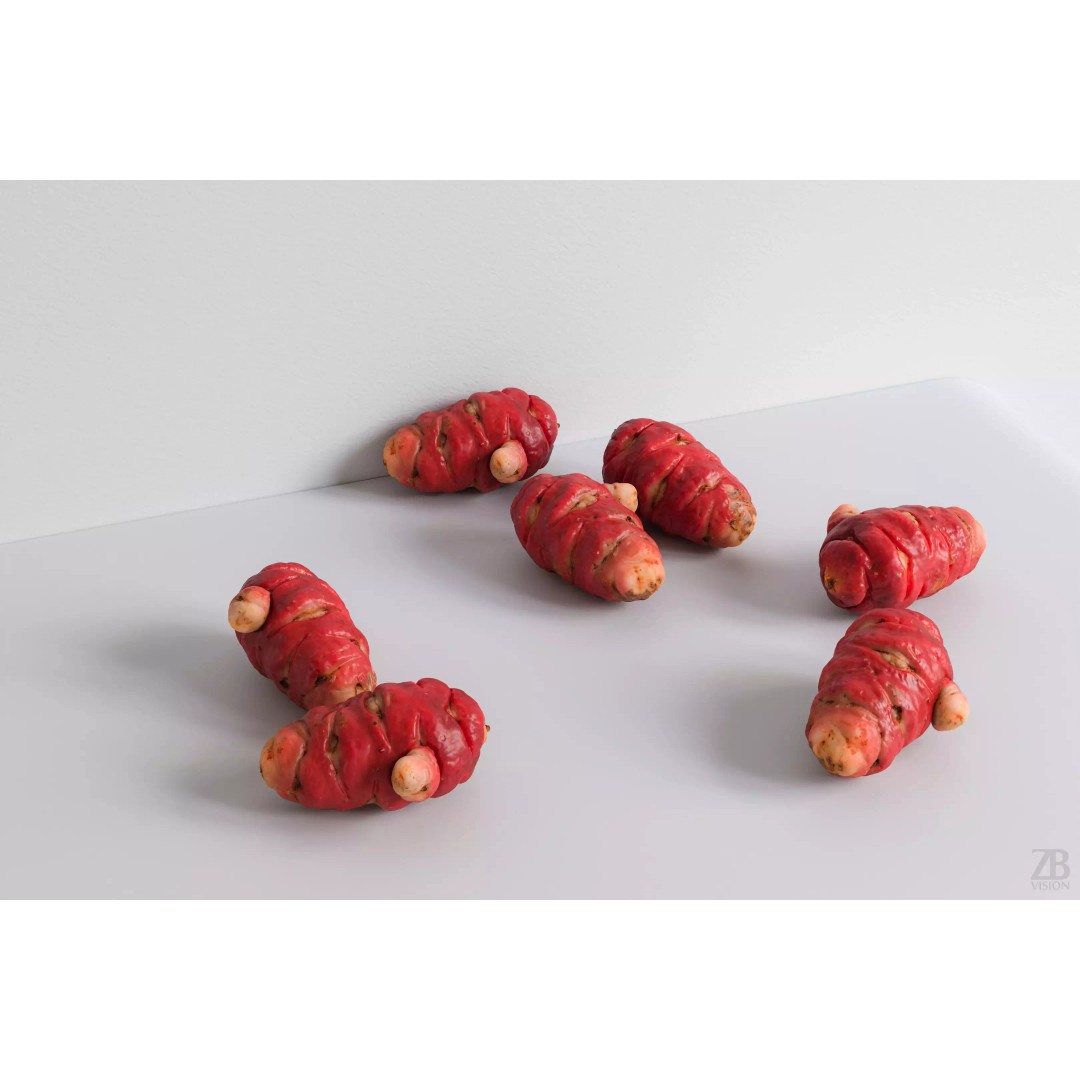 Oca Root 3D Model – Photorealistic PBR Asset for Visualizations - View 2