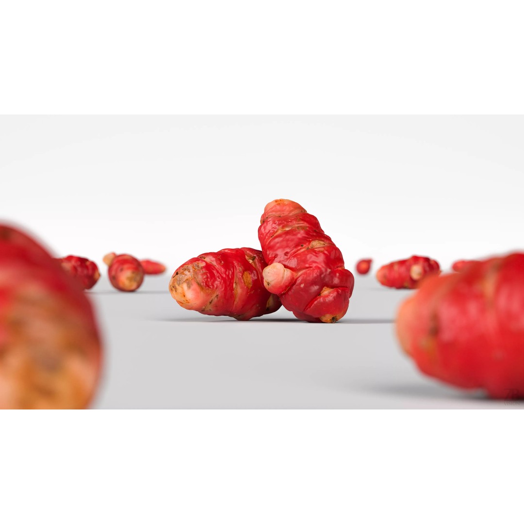 Oca Root 3D Model – Photorealistic PBR Asset for Visualizations - View 3