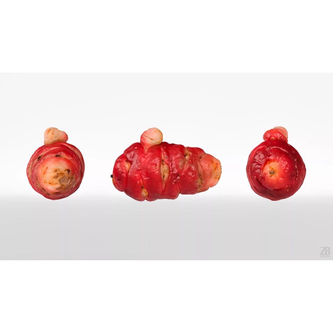 Oca Root 3D Model – Photorealistic PBR Asset for Visualizations - View 6