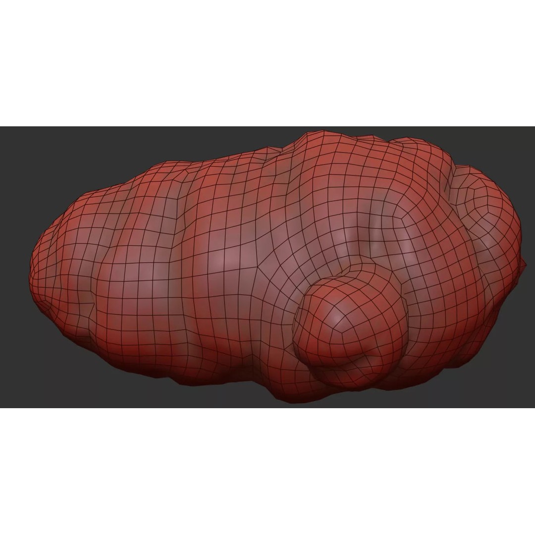 Oca Root 3D Model – Photorealistic PBR Asset for Visualizations - View 8