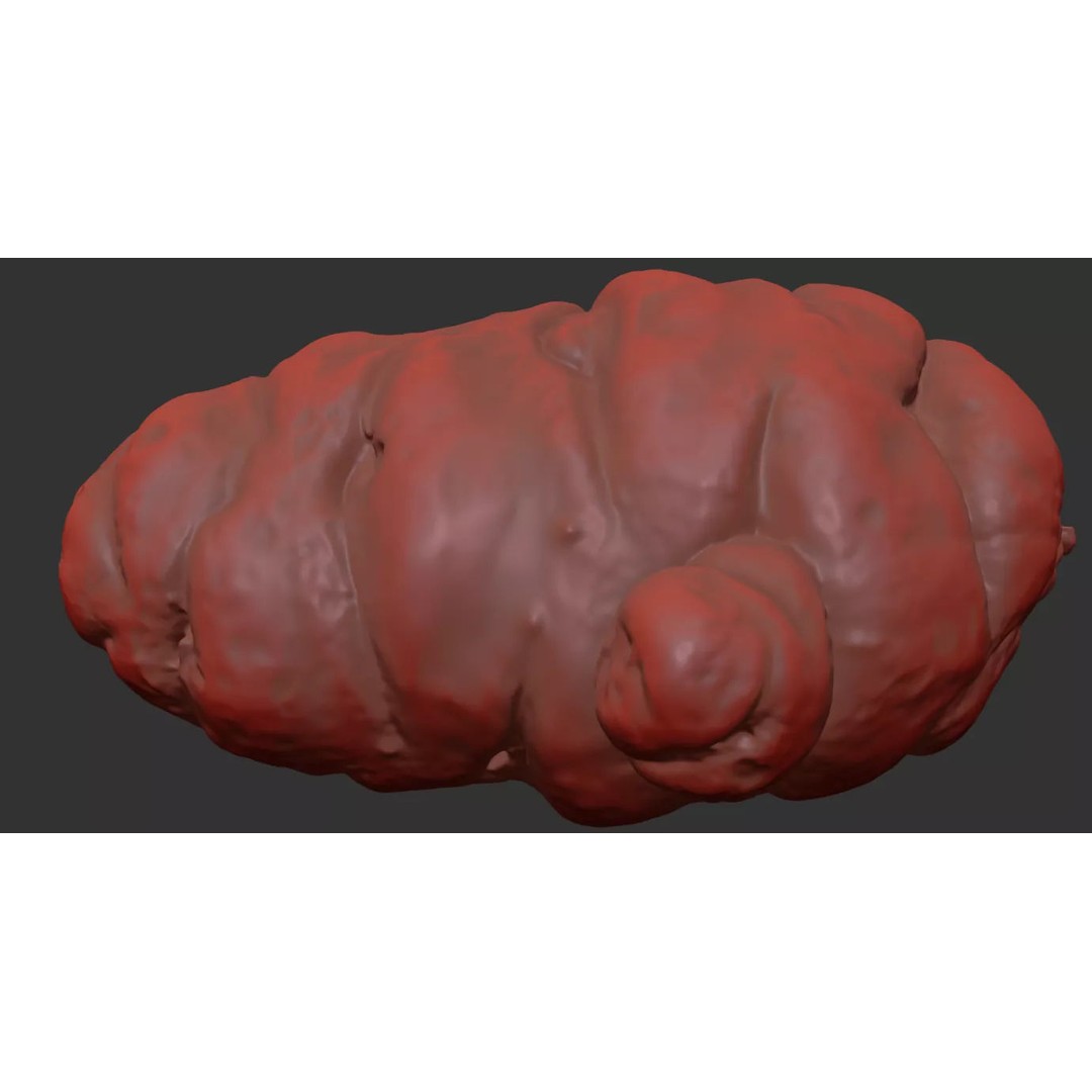 Oca Root 3D Model – Photorealistic PBR Asset for Visualizations - View 9