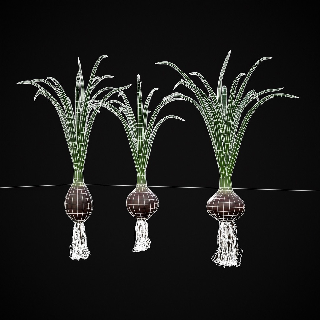 Red Onion 3D Model – Low Poly Game Asset, PBR Textures, FBX, OBJ