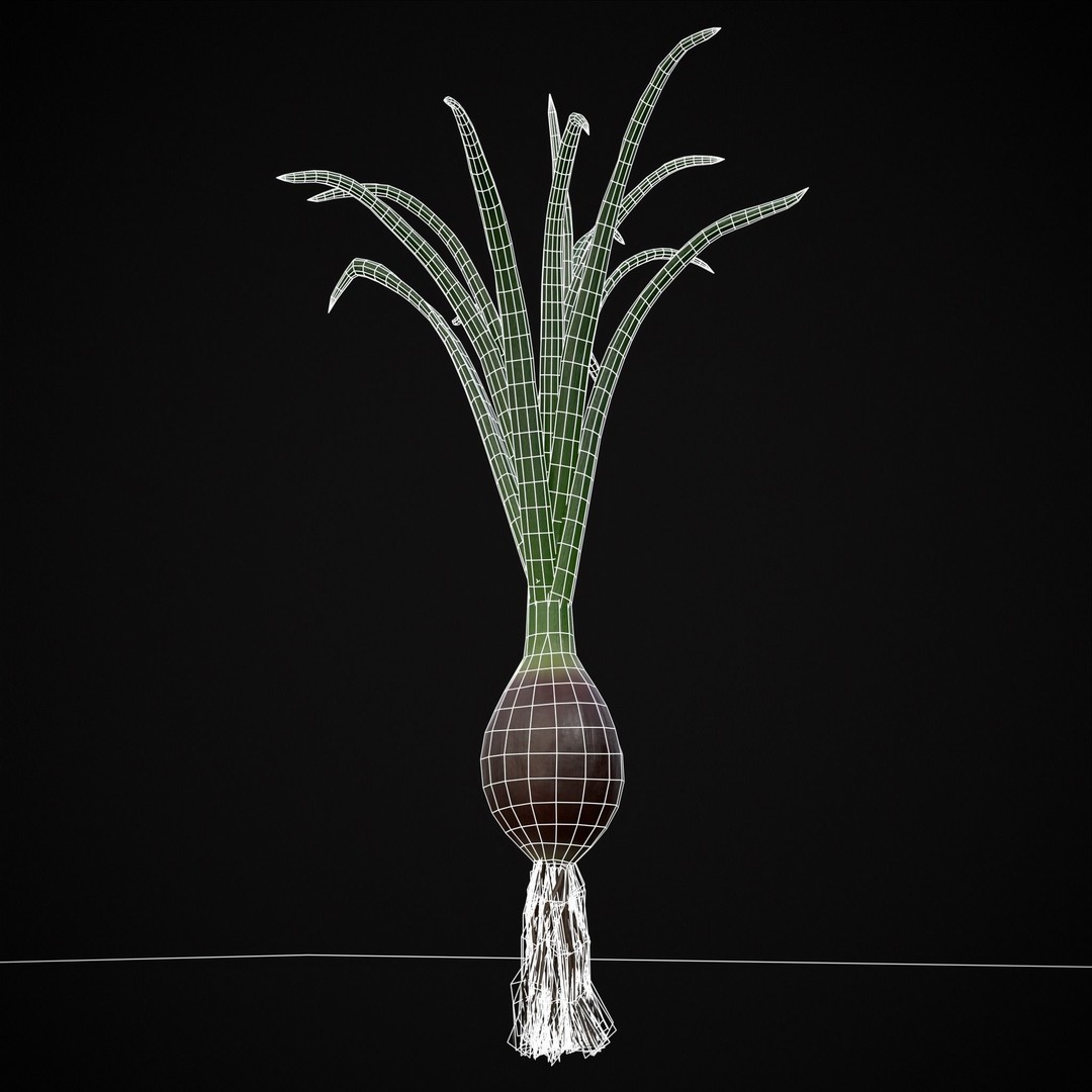 Red Onion 3D Model – Low Poly Game Asset, PBR Textures, FBX, OBJ - View 11
