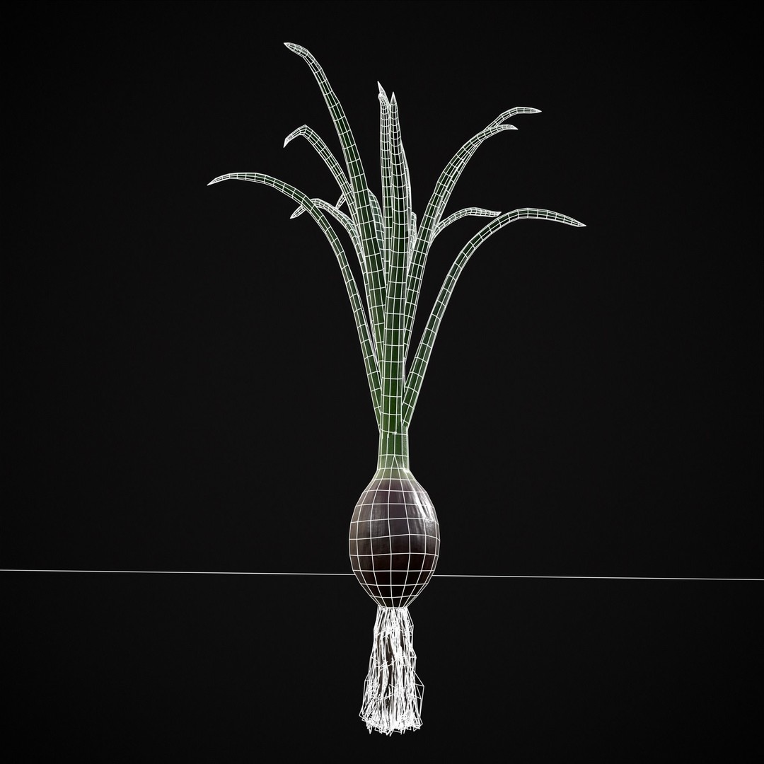 Red Onion 3D Model – Low Poly Game Asset, PBR Textures, FBX, OBJ - View 13