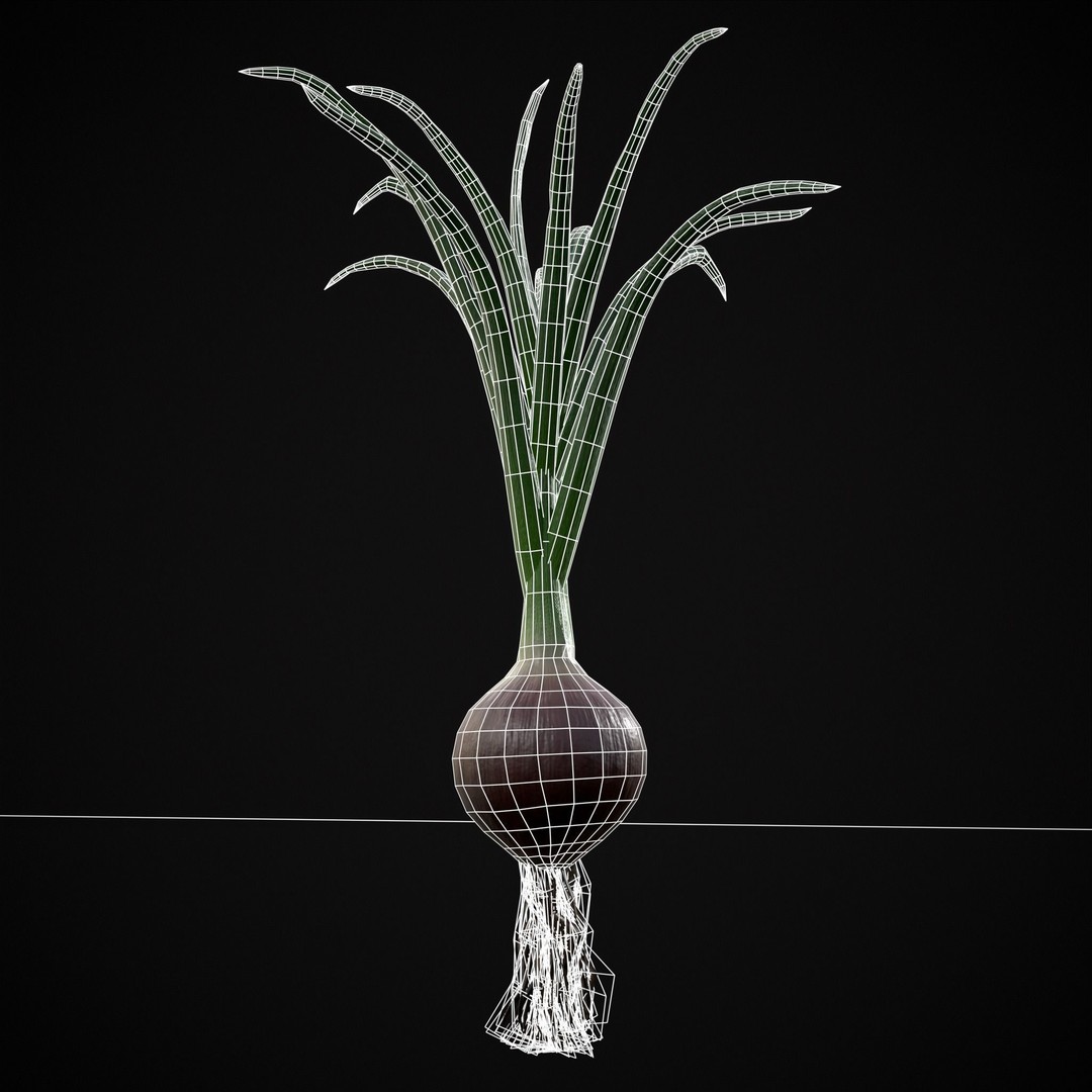 Red Onion 3D Model – Low Poly Game Asset, PBR Textures, FBX, OBJ - View 15