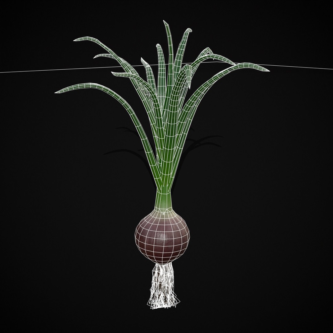 Red Onion 3D Model – Low Poly Game Asset, PBR Textures, FBX, OBJ - View 17