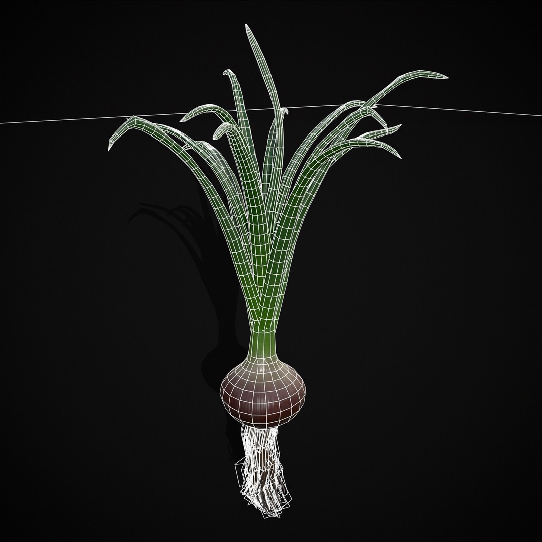 Red Onion 3D Model – Low Poly Game Asset, PBR Textures, FBX, OBJ - View 19