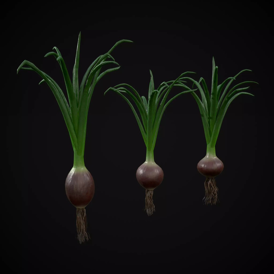 Red Onion 3D Model – Low Poly Game Asset, PBR Textures, FBX, OBJ - View 2