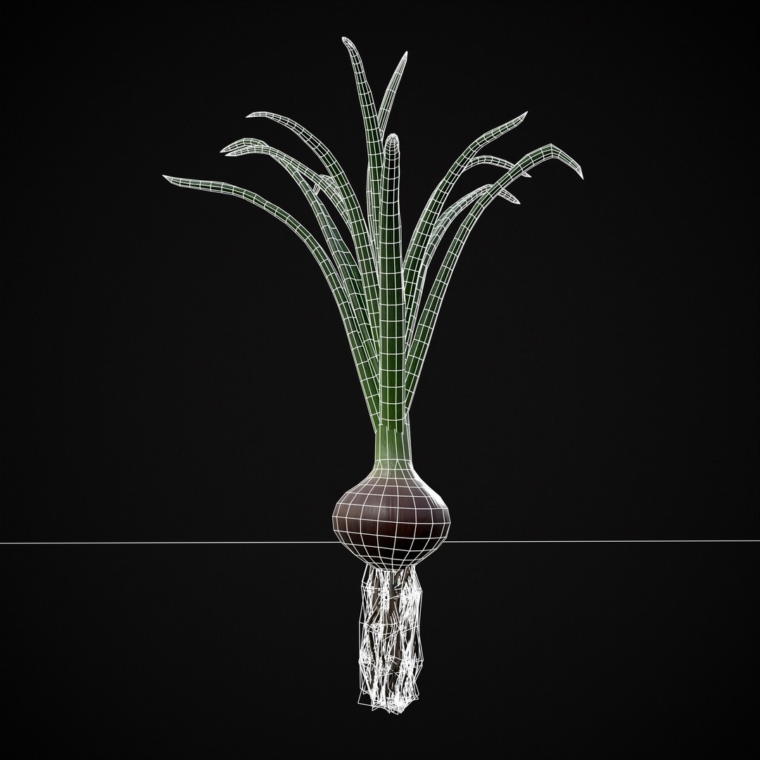 Red Onion 3D Model – Low Poly Game Asset, PBR Textures, FBX, OBJ - View 21