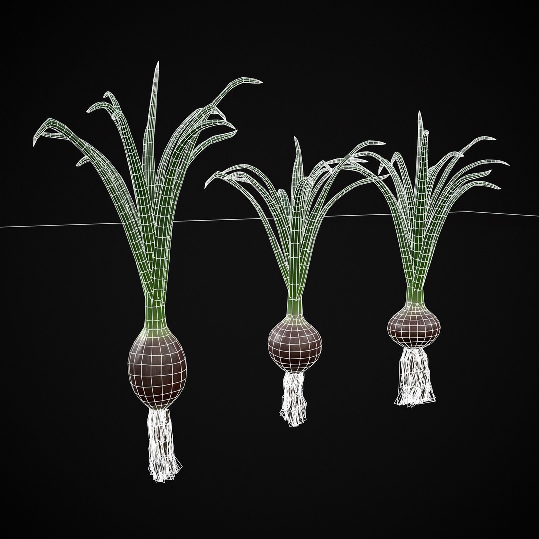 Red Onion 3D Model – Low Poly Game Asset, PBR Textures, FBX, OBJ - View 3
