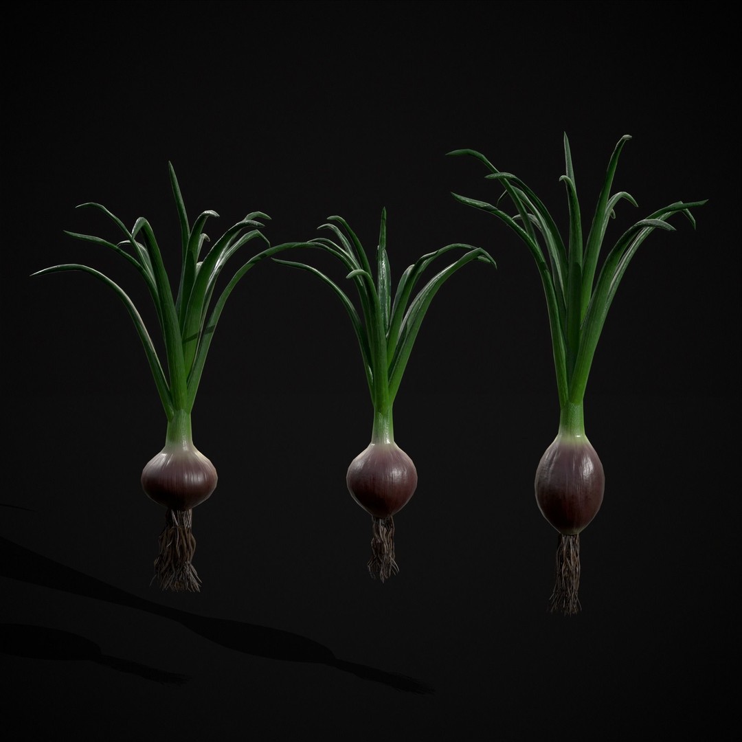 Red Onion 3D Model – Low Poly Game Asset, PBR Textures, FBX, OBJ - View 6