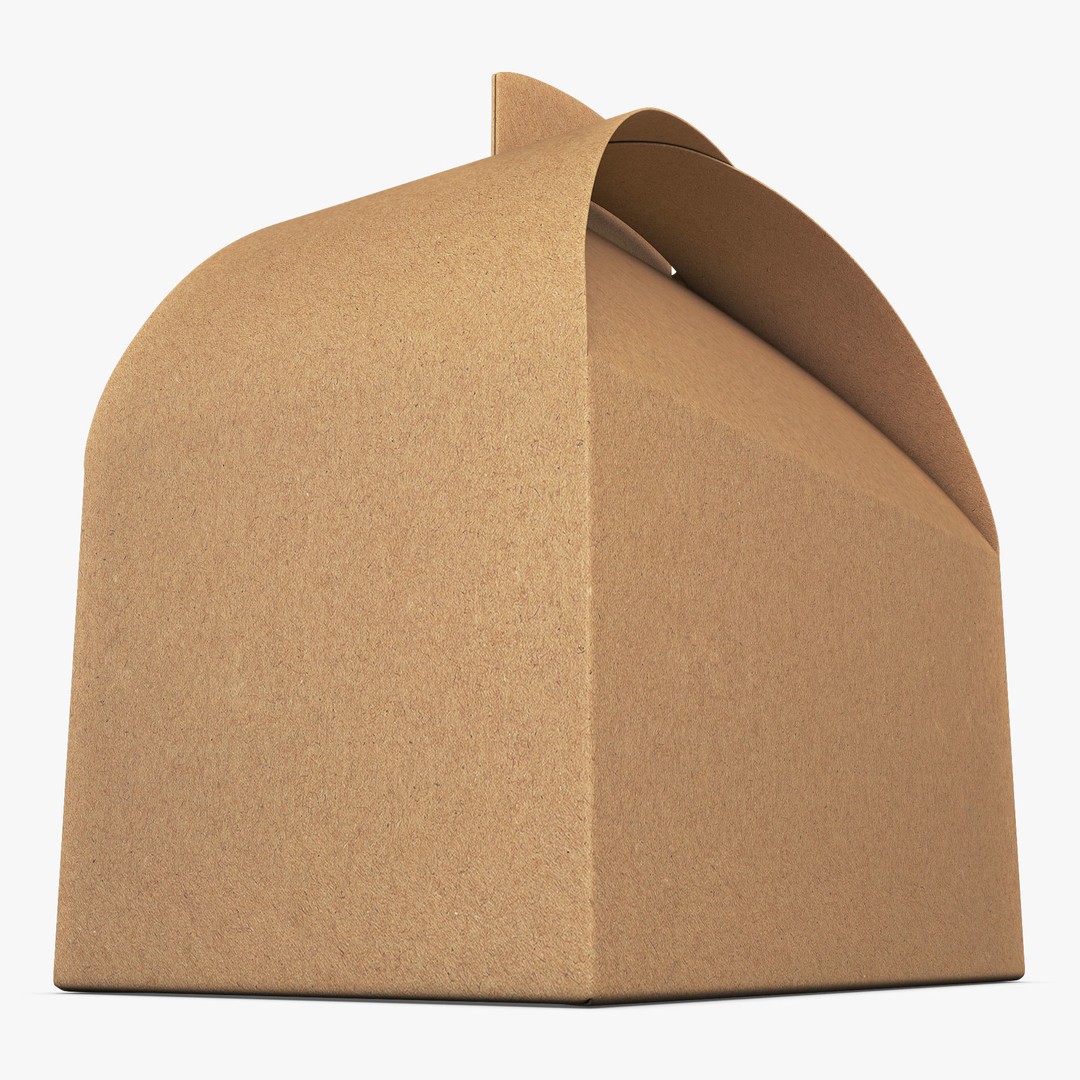Package Cardboard Treat Box M 3D Model – PBR Textured Gift Container, FBX - View 4