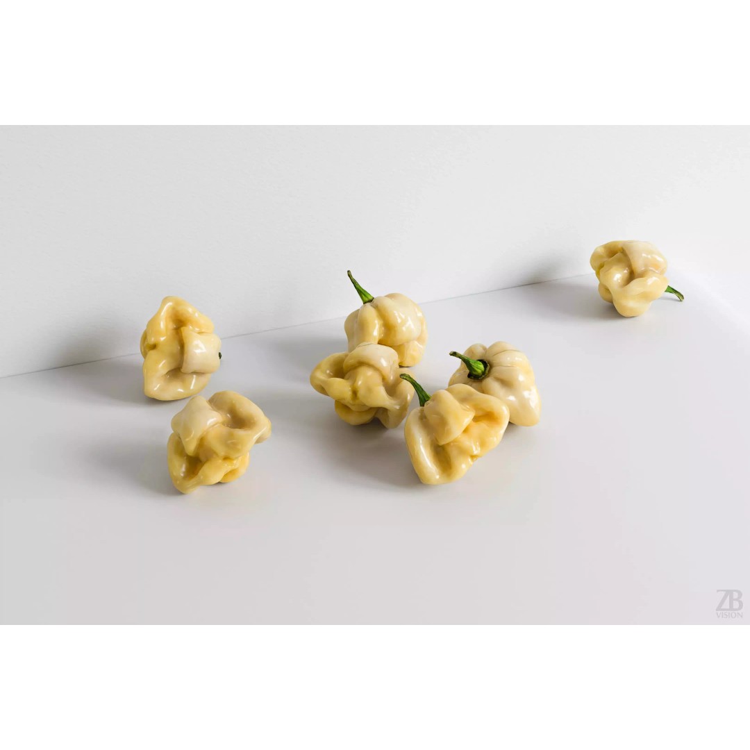 Habanero 3D Model – Photorealistic PBR Vegetable Asset, FBX, OBJ - View 2