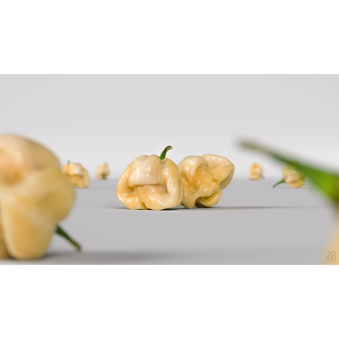Habanero 3D Model – Photorealistic PBR Vegetable Asset, FBX, OBJ - View 3