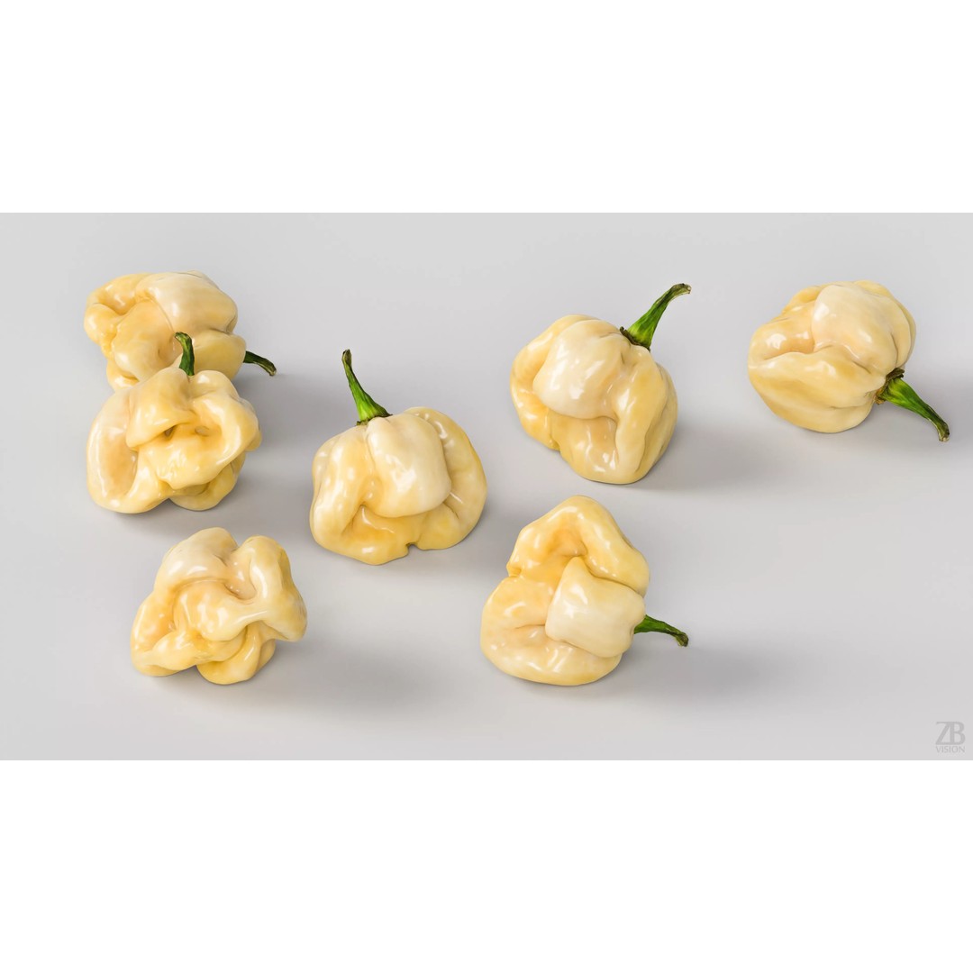 Habanero 3D Model – Photorealistic PBR Vegetable Asset, FBX, OBJ - View 4