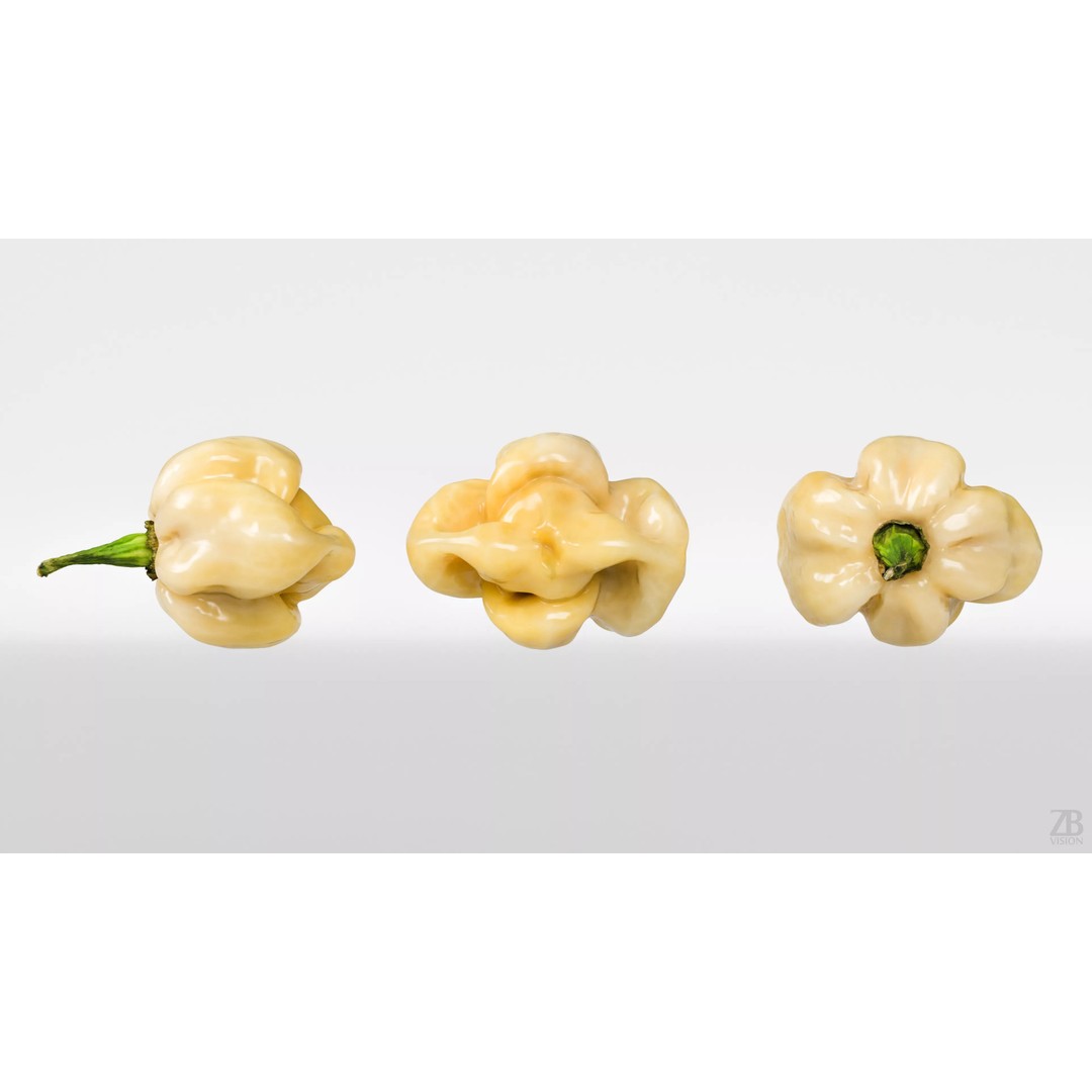 Habanero 3D Model – Photorealistic PBR Vegetable Asset, FBX, OBJ - View 6