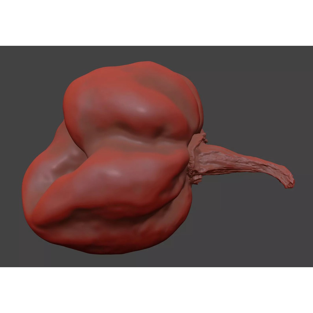 Habanero 3D Model – Photorealistic PBR Vegetable Asset, FBX, OBJ - View 9